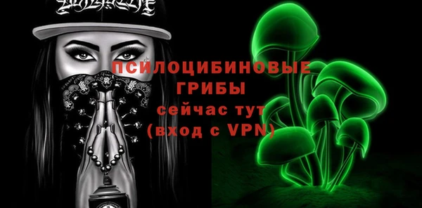 гидропоника Медвежьегорск