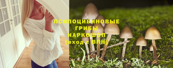 гидропоника Медвежьегорск